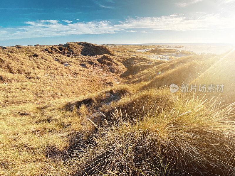 沙丘景观Sylt /德国